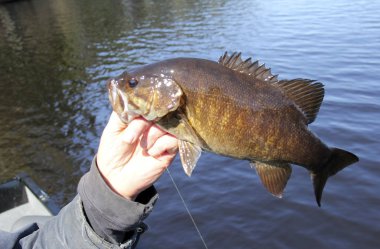 Bir bas arka planda göl ile tutarak balıkçı