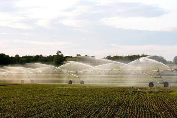 农业灌溉系统浇灌种植中的农民作物 — 图库照片