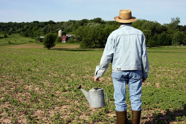 Bauer auf seinem Feld — Stockfoto