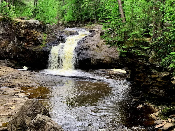 Wasserfall des Flusses, der durch einen Wald fließt — Stockfoto