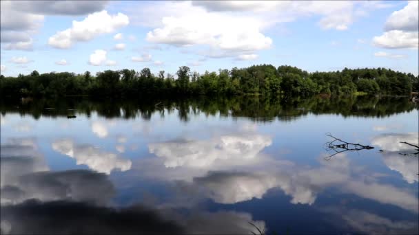 Wellen Auf Einem Stillen Süßwassersee — Stockvideo