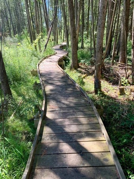 Boardwalk Ice Age Trail Going Forest — Stock Photo, Image