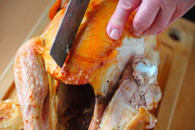 Bir erkek, hindiyi göğsünü keserken sabit tutar.