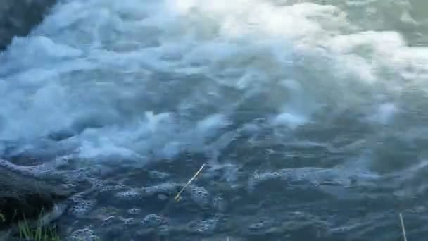 Wasser Sprudelt Aus Einer Quelle Einem Versickerungsteich — Stockvideo