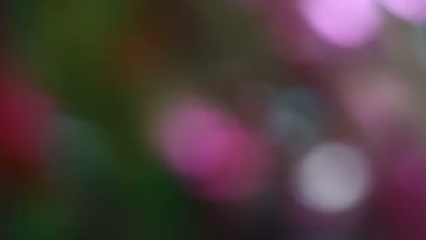 Snel Bewegende Defocused Abstract — Stockvideo