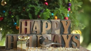 Bir çit kuşu ve bir chickadee bir junco tarafından sindirilir ama bir Noel ağacı ve Happy Holidays kelimeleri ile bir besleyici zaten yiyecek olsun