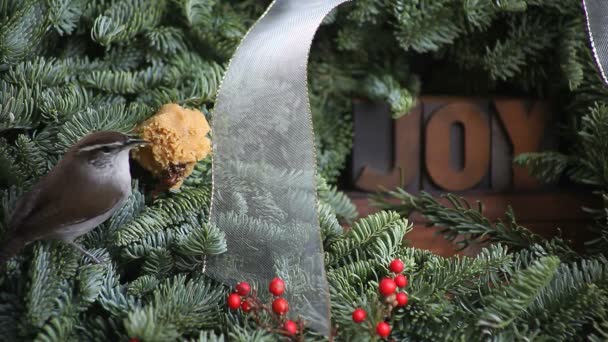Wren Táplálkozik Egy Karácsonyi Koszorút Szó Joy Háttérben — Stock videók