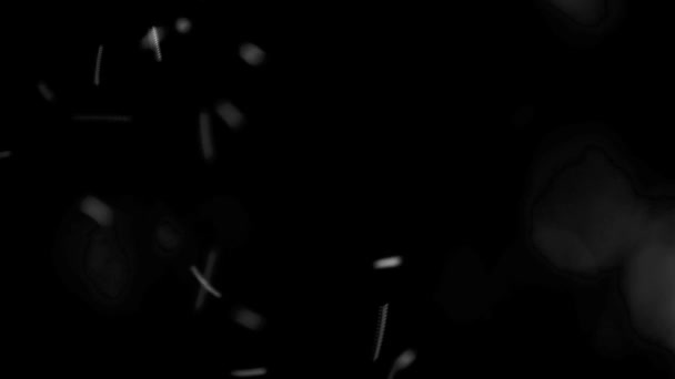 在黑色背景上飞舞的白苍蝇 — 图库视频影像