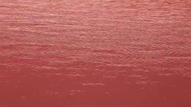 湖面上具有红色效果的水 — 图库视频影像