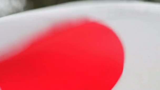 Uma Bandeira Japonesa Com Ventos Fortes — Vídeo de Stock