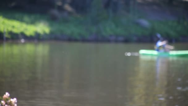 Velejador Atravessa Lago Enquanto Homem Uma Criança Remam Vigorosamente — Vídeo de Stock