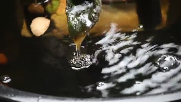 Gros Plan Une Fontaine Couverte Mousse — Video