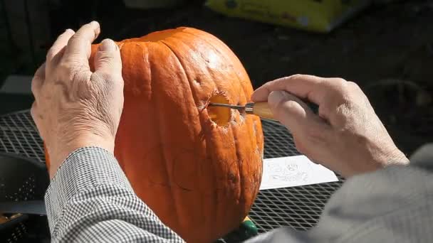 Man Med Hjälp Trä Carving Verktyg För Att Urholka Ögonen — Stockvideo