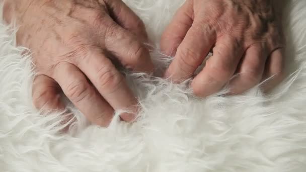 Homem Experimenta Textura Tecido Peludo — Vídeo de Stock