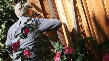 Ev sahibi güller için bir trellis bina