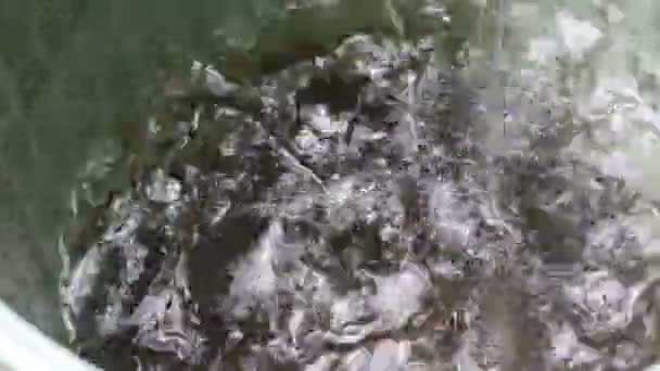 Balde Sujo Segura Escoamento Telhado Durante Uma Tempestade — Vídeo de Stock