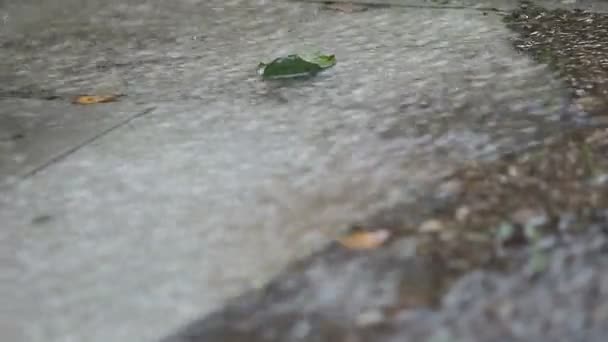 雨水从倾泻的洪水淹没庭院区 — 图库视频影像