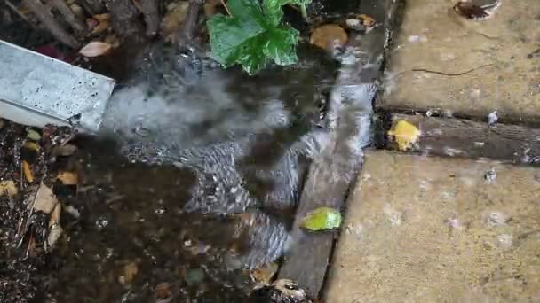 Überlauf Bei Sturm Auf Hinterhof Terrasse — Stockvideo