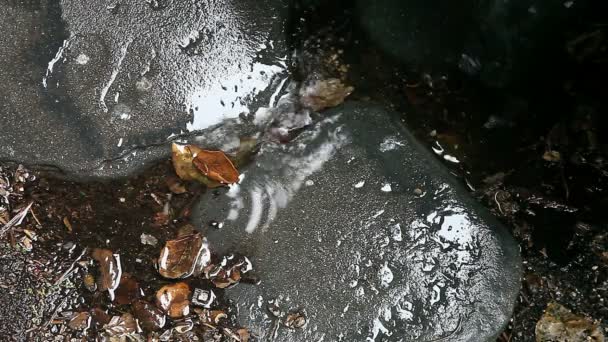 Lluvia Cae Acumula Entre Escalones — Vídeo de stock