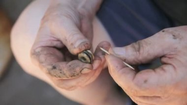 Bir ev sahibi onun fıskiye sisteminin bir parçası kir ve böcek enkaz kaldırır