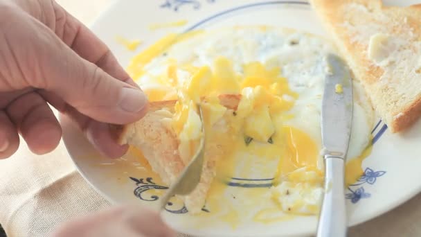 Comensal Usa Brindis Para Recoger Yema Huevo Plato Desayuno — Vídeos de Stock