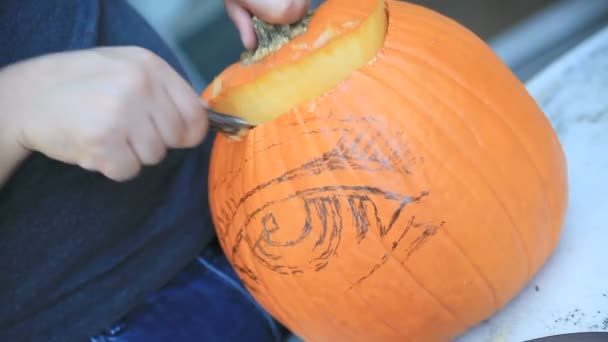 Rengöring Frön Och Fibrösa Material Från Jack Lantern Lid — Stockvideo