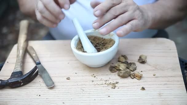 Man Uses Mortar Pestle Grind Oak Galls Powder — Stock Video