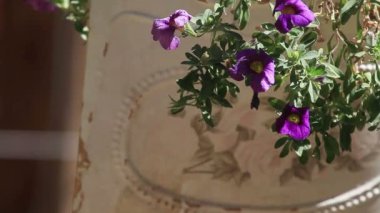 Renkli küçük çiçekler ile eski beyaz dekoratif planter