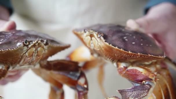 一个有两只新鲜螃蟹的男人 — 图库视频影像
