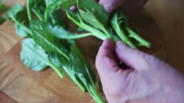 Senior Man Cuts Ends Dark Leafy Greens — Stock Video