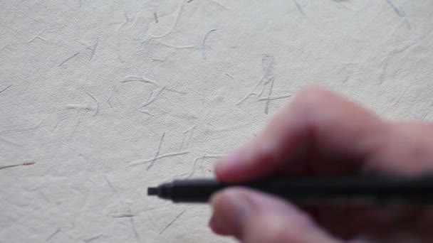 Une Femme Écrit Aussi Écriture Cursive Chancellerie Utilisant Stylo Calligraphie — Video