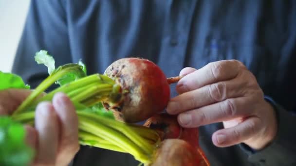 Controlo Sénior Dos Agricultores Compra Beterrabas Mercado — Vídeo de Stock