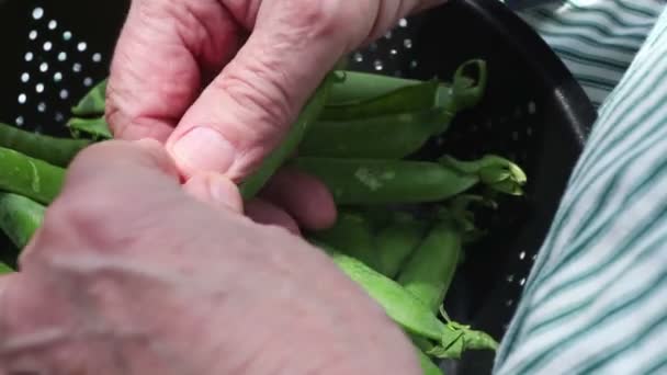 Homme Porte Tablier Pendant Prépare Des Petits Pois Frais Dans — Video