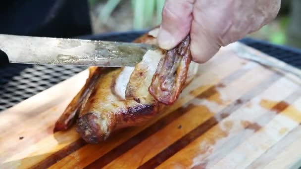 Homme Coupe Les Ailes Canard Rôti Maison Dehors — Video