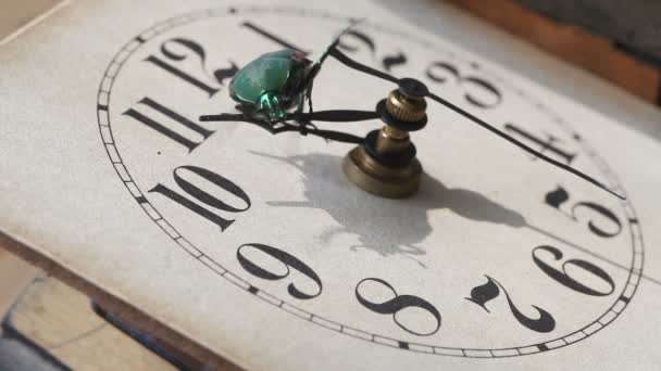 Large Green Beetle Moves Hands Face Old Clock — Stock Video