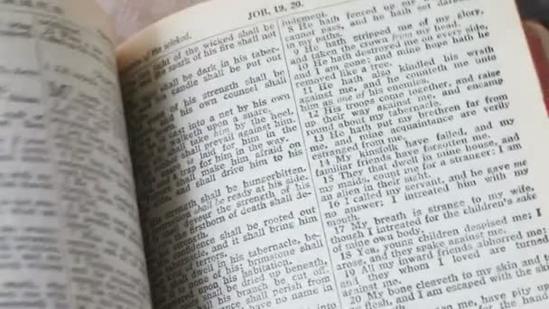 Een Vrouw Pagina Door Middel Van Een Vintage Bijbel — Stockvideo