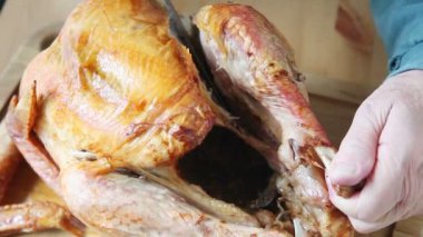 Bir adam, bir kızarmış hindi bacak tutar ve uyluk eklem onu keser