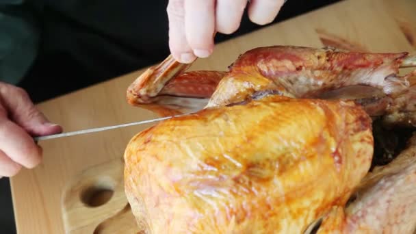 Man Bort Vingen Från Thanksgiving Kalkon — Stockvideo