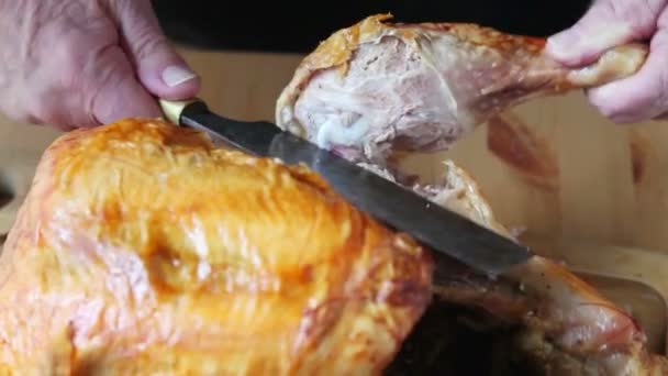 Homme Coupe Une Cuisse Dinde Thanksgiving — Video