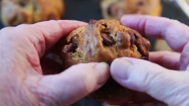 Een Vrouw Breekt Muffin Brengt Het Naar Camera — Stockvideo