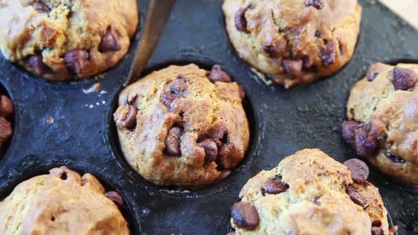 Woman Uses Dinner Knife Loosen Chocolate Chip Muffin — Stock Video