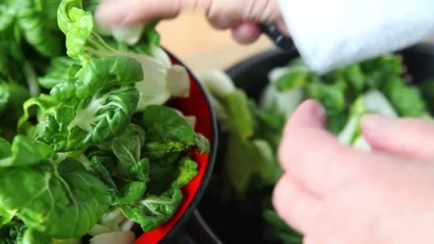Προετοιμασία Φυλλωδών Πράσινων Λαχανικών Κοντινό — Αρχείο Βίντεο