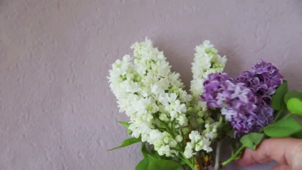 Una Mujer Coloca Lilas Moradas Blancas Con Flores Hortensias Sobre — Vídeos de Stock