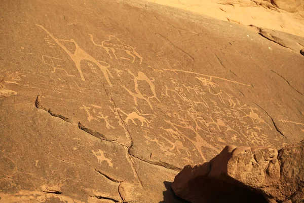 Pinturas Rupestres Antigas Petroglifos Representando Humanos Camelos Rocha Deserto Wadi — Fotografia de Stock