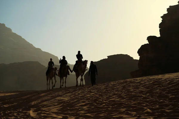 Jordan Wadi Rum Dessert December 2016 Jpeople Rides Camels Wadi — Stock Photo, Image