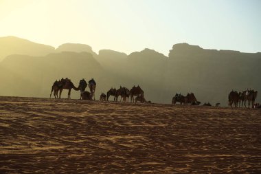 Deve çölde Wadi Rum, Ürdün Haşimi Krallığı. Wadi Rum, olarak da bilinen Valley ayın en büyük wadi Jordan, kum, kum taşı ve granit kayalar veya dağ içeren vadide mi