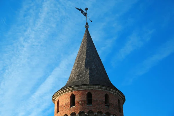 Ancien Château Sur Rivière Smotrych Est Ancien Château Ruthénien Lituanien — Photo