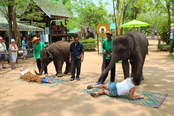 Thailand Kanchanaburi Provinsen April 2014 Människor Visar Elefanter Thailan — Stockfoto