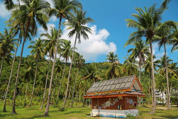 Pequeña Casa Entre Palmeras Isla Koh Chang Tailandia — Foto de Stock