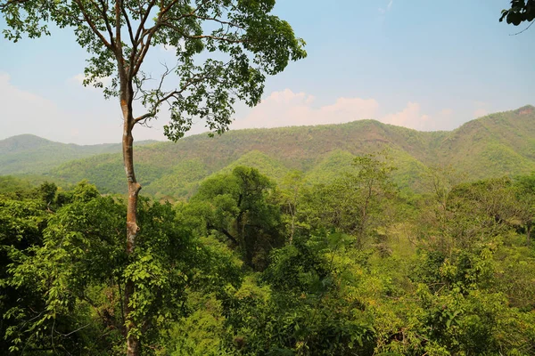 Bäume Erawan Nationalpark Westthailand — Stockfoto